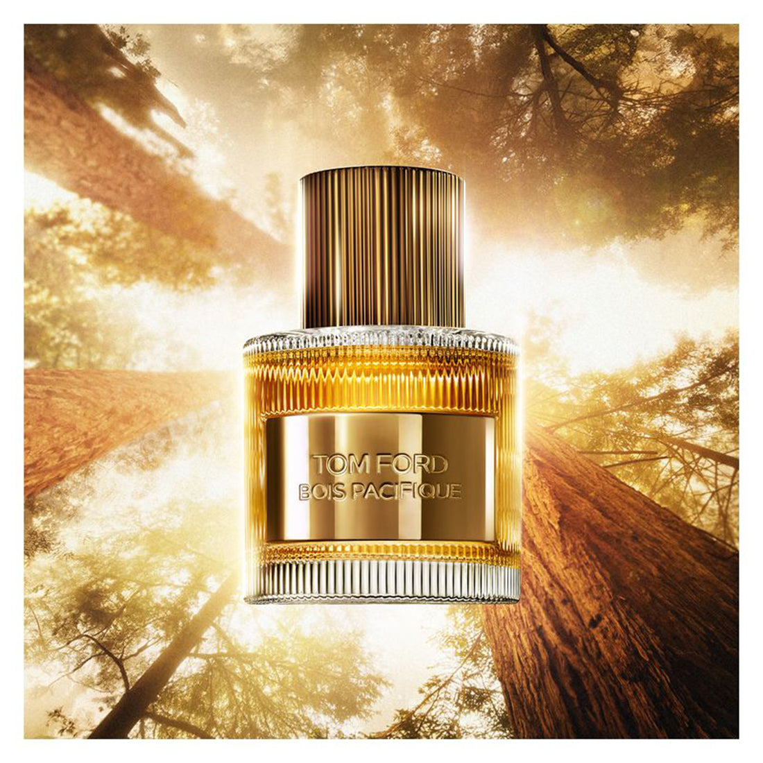 Bois Pacifique Eau De Parfum 50 ML_ESTTEEX01_Tom Ford-2