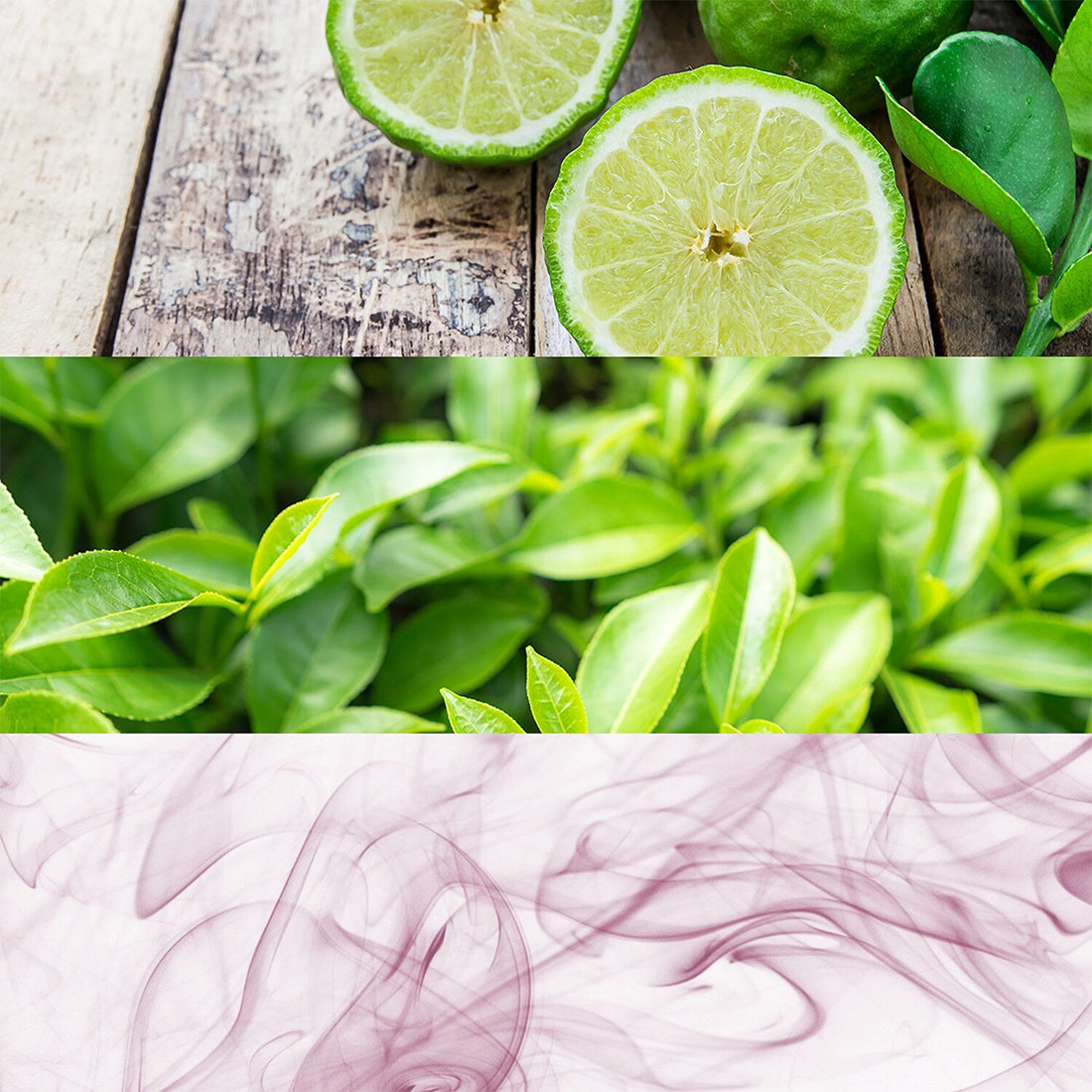 Ck One Eau de Toilette Formato Viaggio_CKO8Q1611L0_Calvin Klein-2