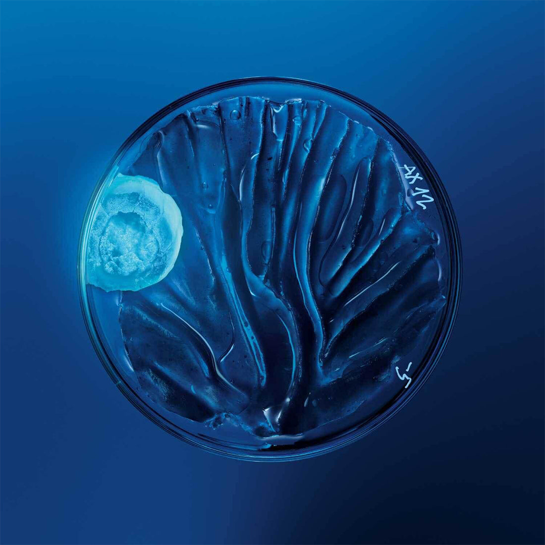 Force Supreme Eye Architect Serum Yeux Siero Contorno Occhi 15 ML_BIO5601900_Biotherm-2