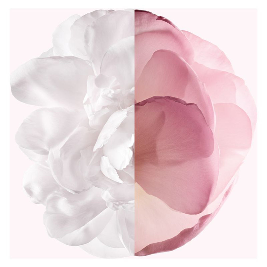 Irresistible Very Floral Eau De Parfum 30 ML_GIV000178_Givenchy-3