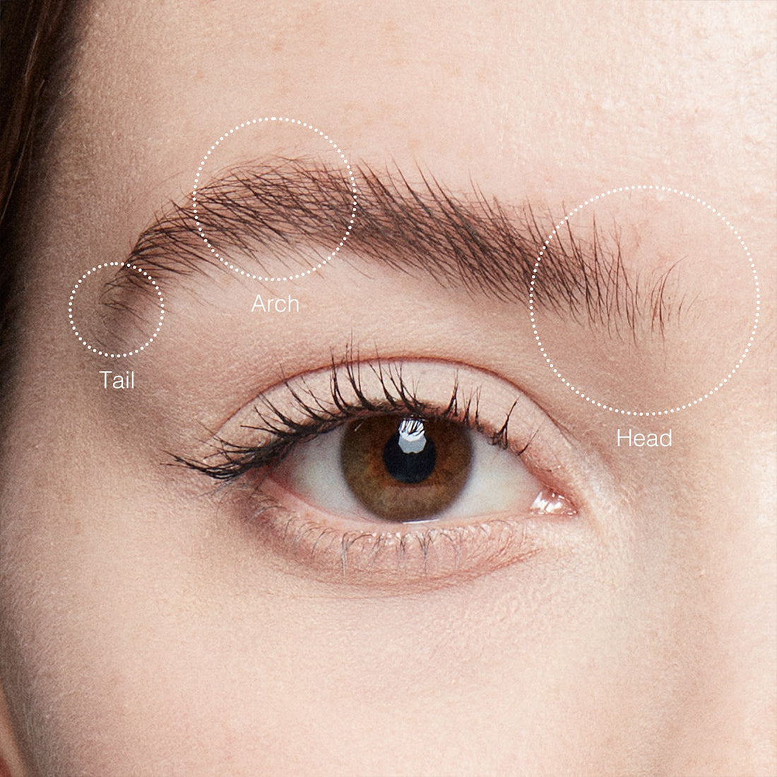 Natura Brow Shaper Gel Sopracciglia Clear_BOBETPY14_Bobbi Brown-4