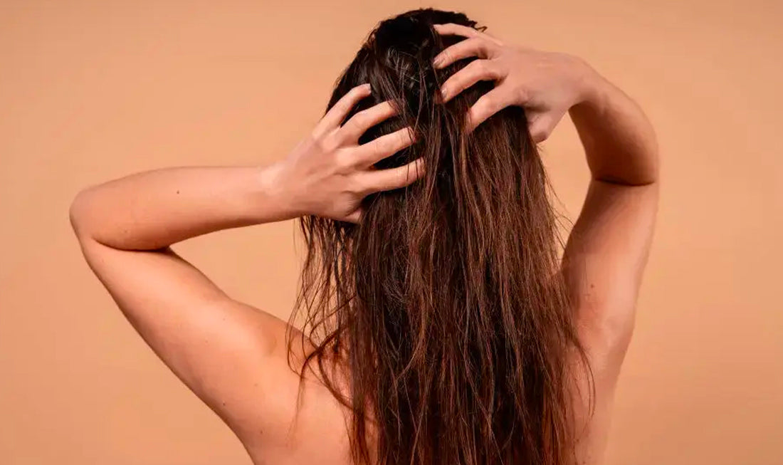Capelli secchi e spenti: consigli per una chioma più morbida