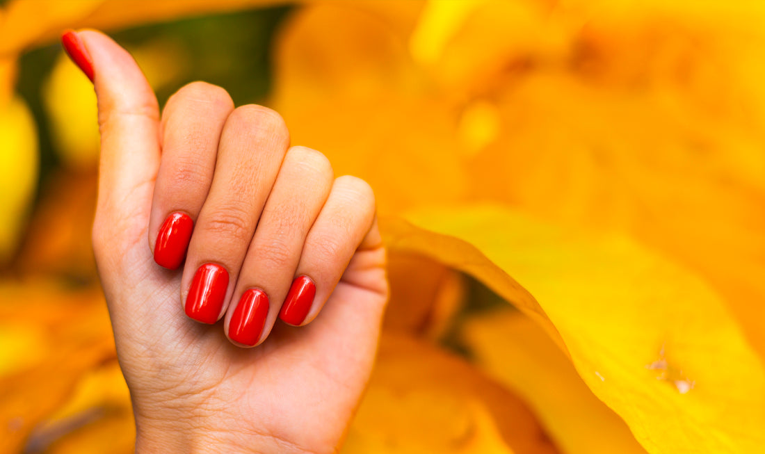 Mani e unghie: il piccolo rituale di bellezza che fa la differenza