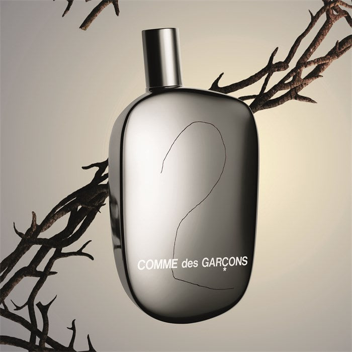 2 Woman Eau De Parfum 100 ML_COM91160_Comme Des Garcons-3