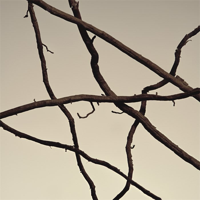 2 Woman Eau De Parfum 100 ML_COM91160_Comme Des Garcons-4