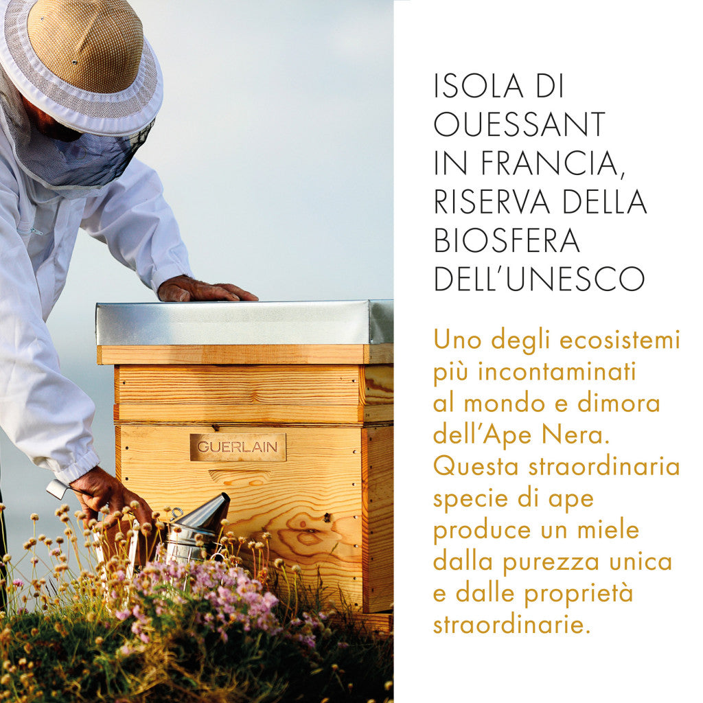 Abeille Royale Bee GlowTrattamento Idratante Anti-età 30 ML_GUE061394_Guerlain-3