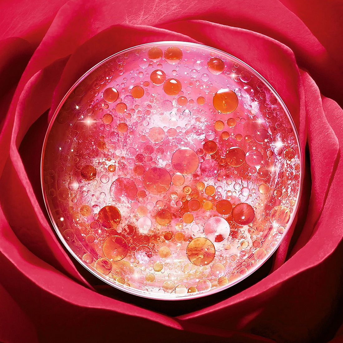 Absolue La Crema Ricca Ricarica 60 ml_LCO8214300_Lancome-6