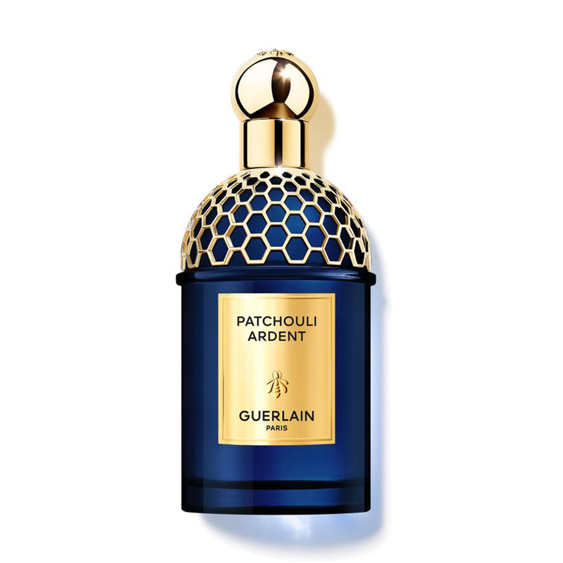 Absolus Allegoria Patchouli Ardent Eau De Parfum 125 ML_GUE14834_Guerlain