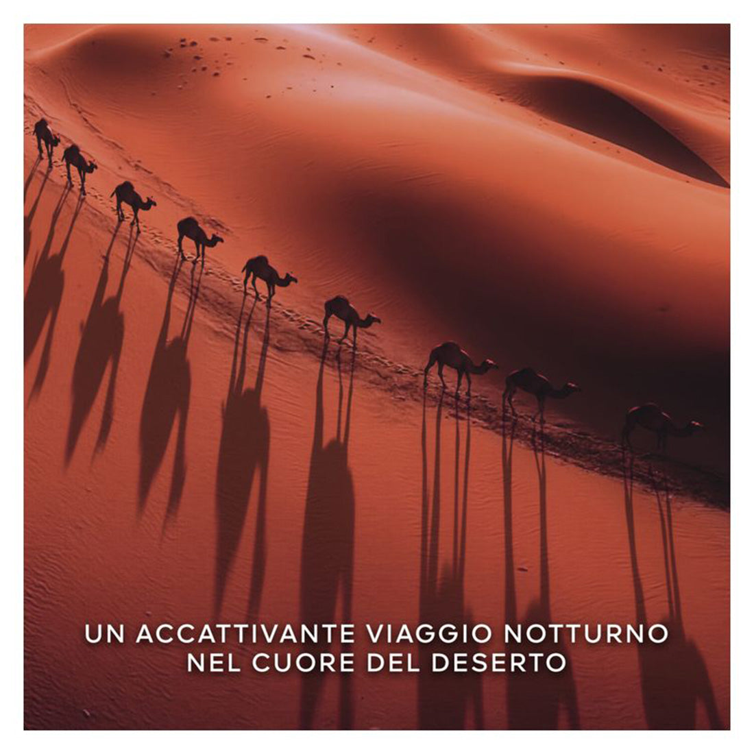 Absolus Allegoria Tabac Sahara Eau De Parfum 125 ml_GUE062386_Guerlain-5