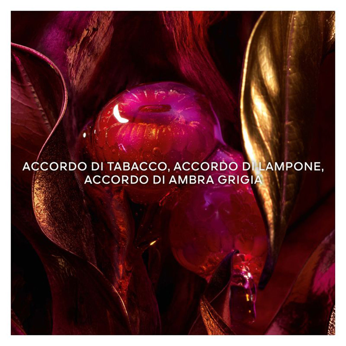 Absolus Allegoria Tabac Sahara Eau De Parfum 75 ml_GUE062560_Guerlain-4