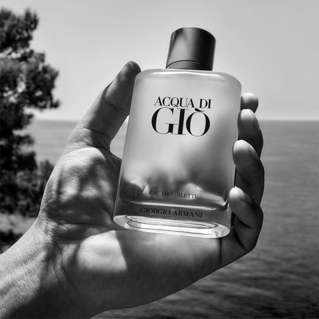 Acqua Di Giò Eau De Toilette 200 ML_ARM316200_Giorgio Armani-4