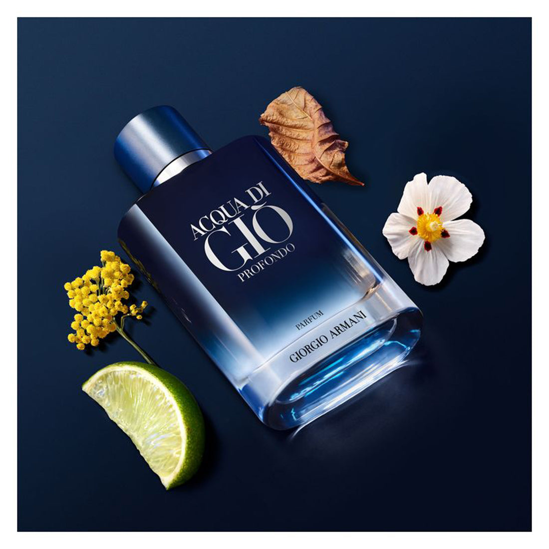 Acqua Di Giò Profondo Parfum 100 ML_ARM309800_Giorgio Armani-3