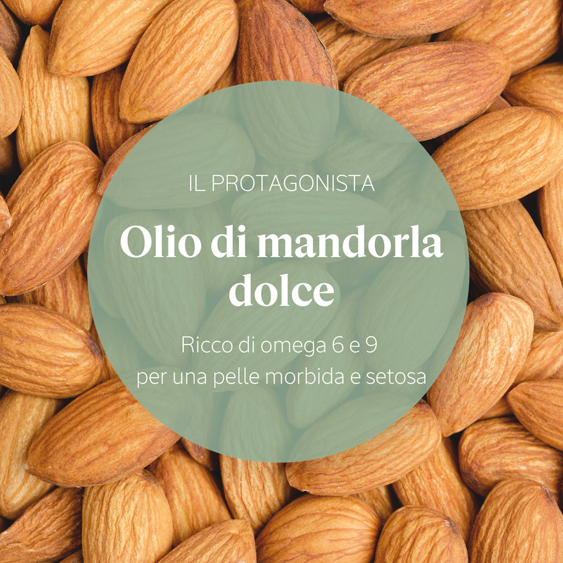Amande Huile Souplesse Olio Mandorla 100 ML_OCC29HD250A15_L'Occitane-4