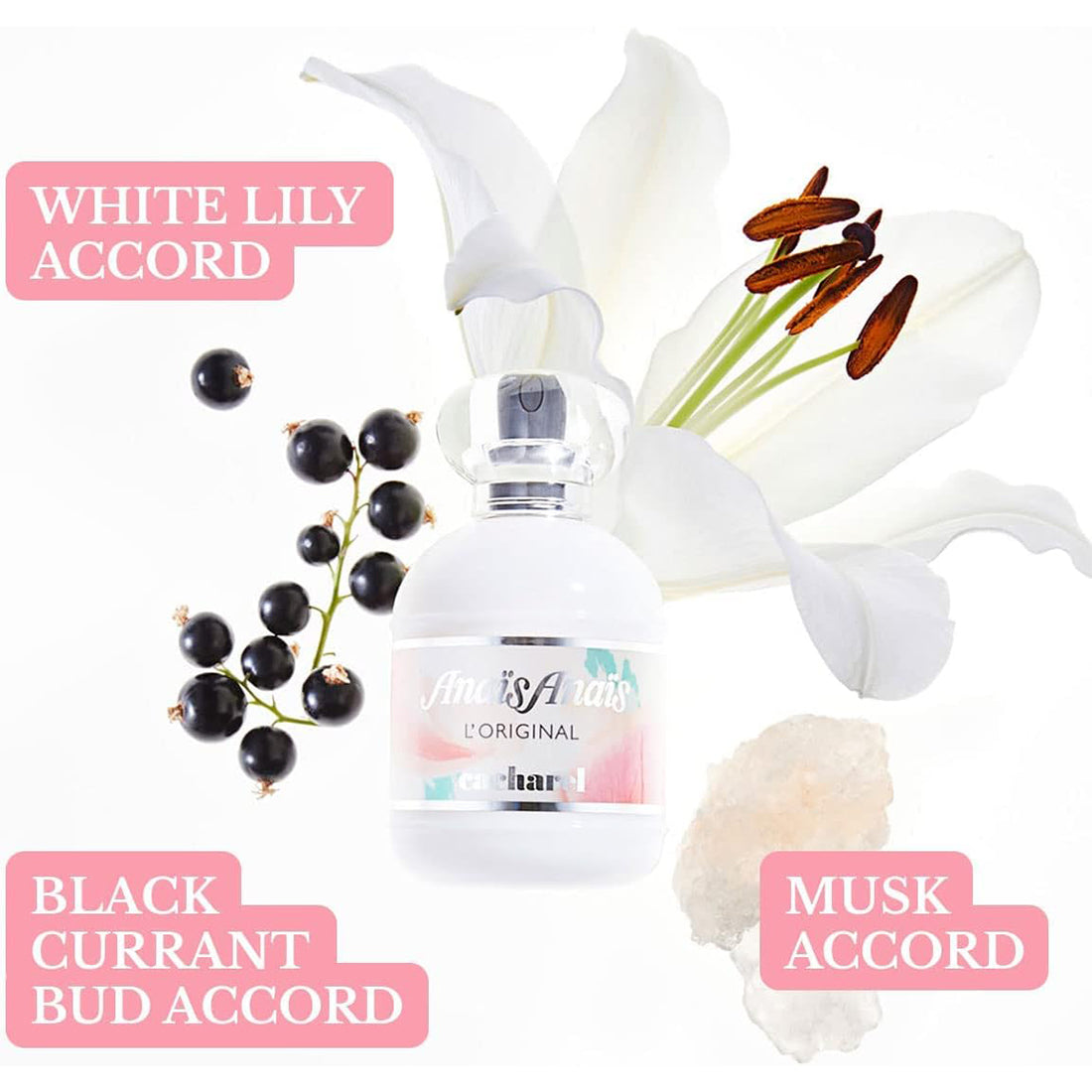 Anais Anais Eau De Toilette 30 ML_CAC300289_Cacharel-3