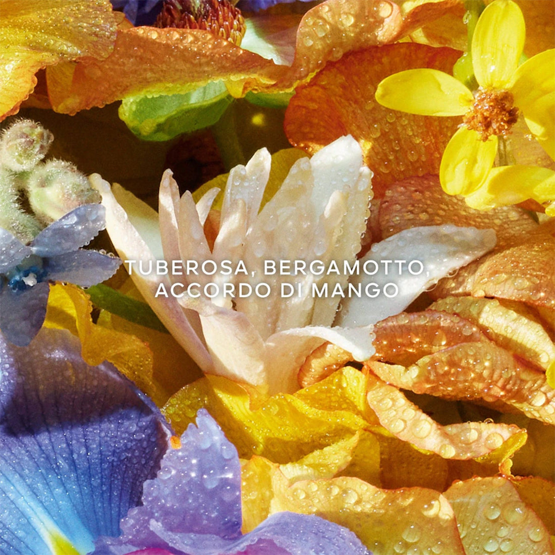 Aqua Allegoria Flora Bloom Eau De Toilette 40 ML_GUE062175_Guerlain-3