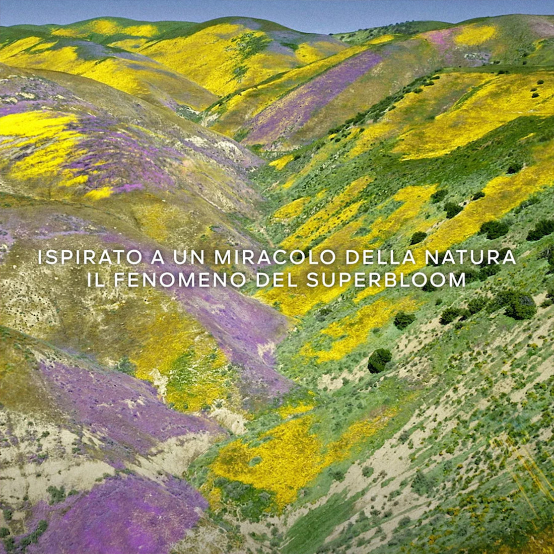 Aqua Allegoria Flora Bloom Eau De Toilette 40 ML_GUE062175_Guerlain-5