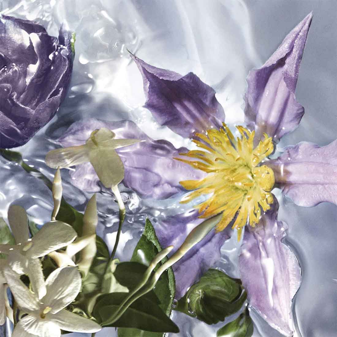 Aqua Allegoria Flora Salvaggia Eau De Toilette 75 ML_GUE014386_Guerlain-2