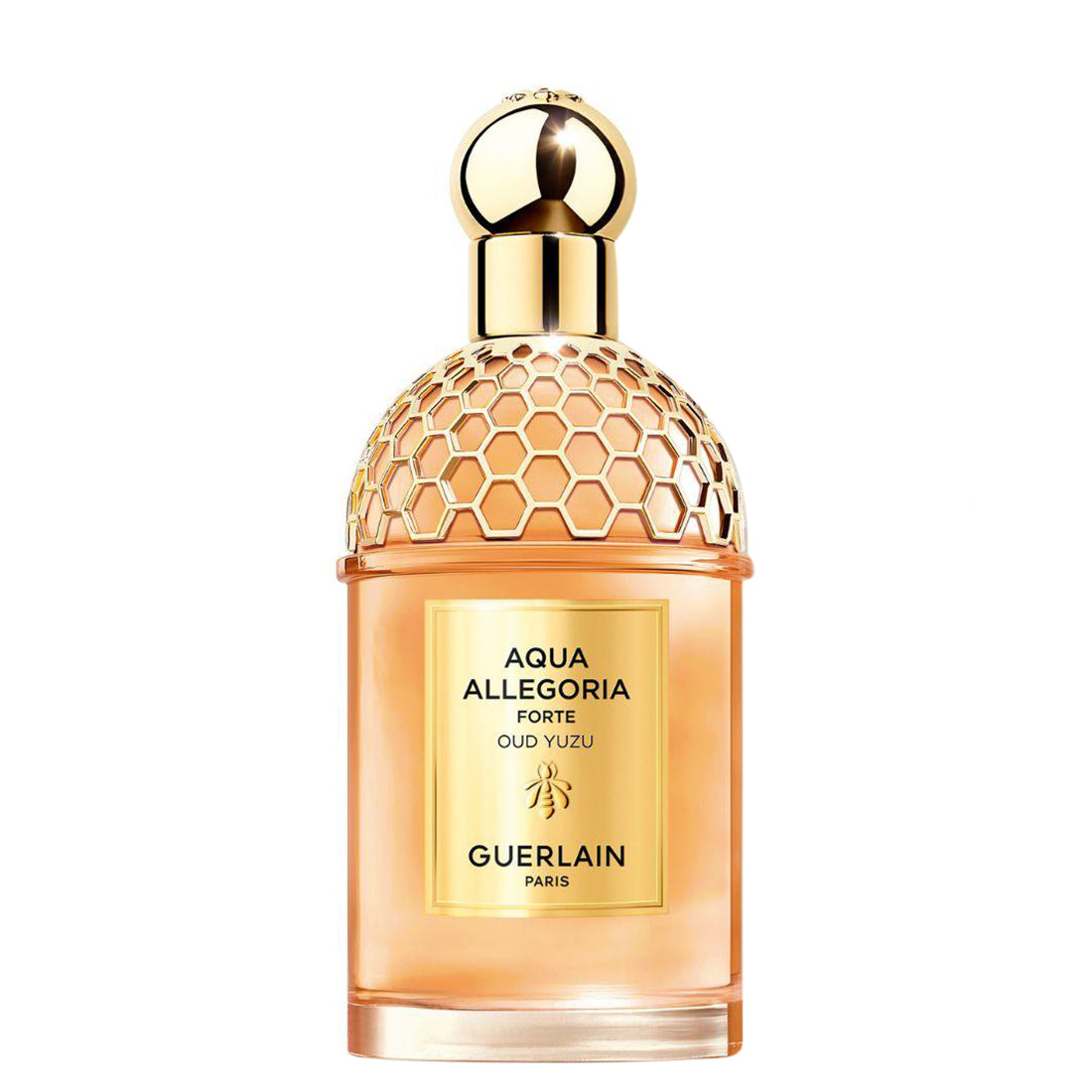 Aqua Allegoria Forte Oud Yuzu Eau De Parfum 125 ML_GUE014743_Guerlain
