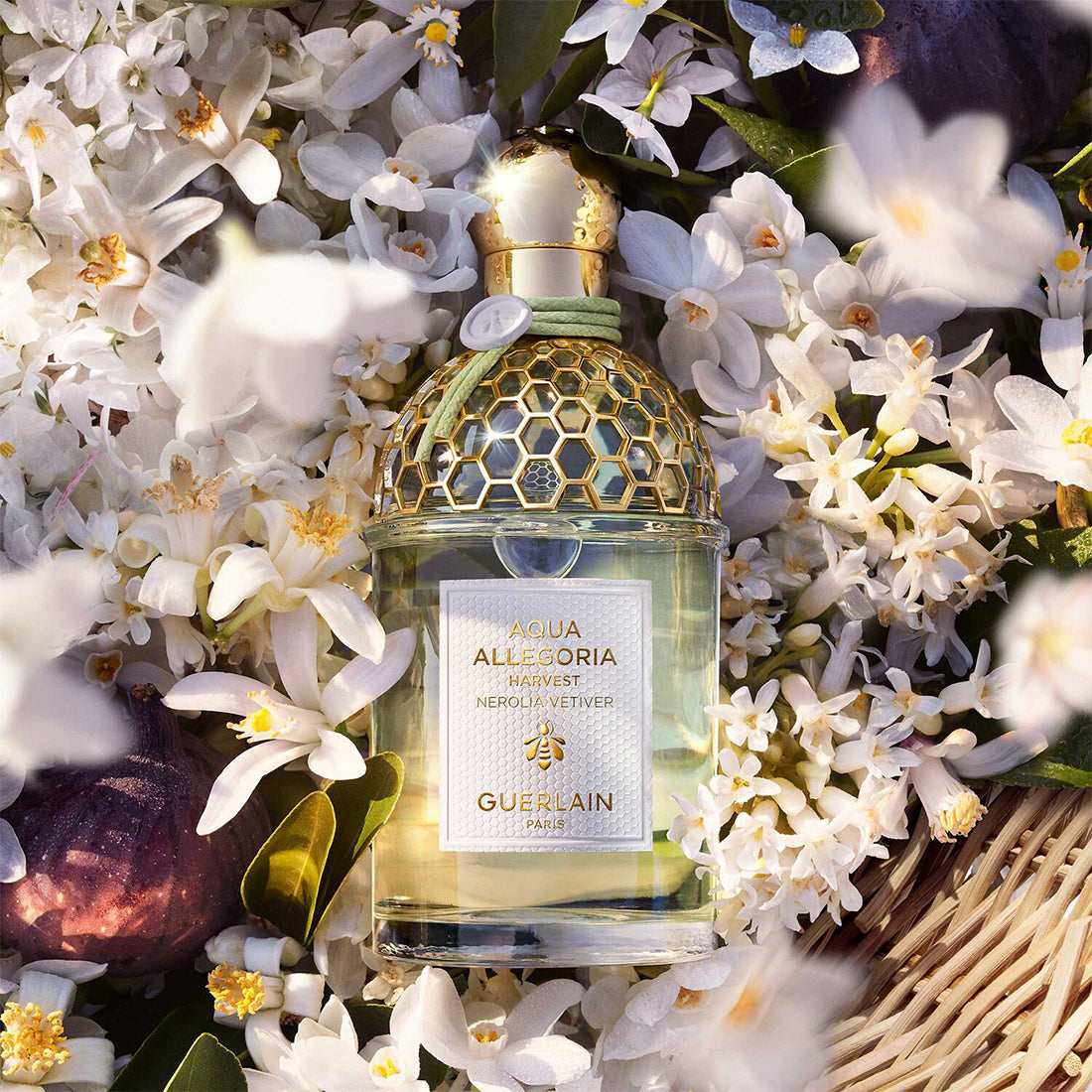 Aqua Allegoria Harvest Nerolia Vetiver Eau De Toilette 125 ML_GUE014701_Guerlain-3