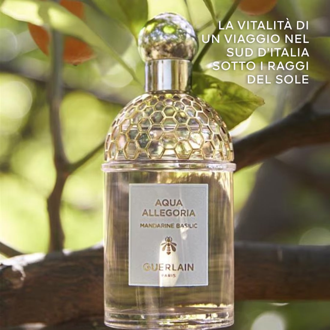 Aqua Allegoria Mandarine Basilic Eau De Toilette 40 ML_GUE062177_Guerlain-3