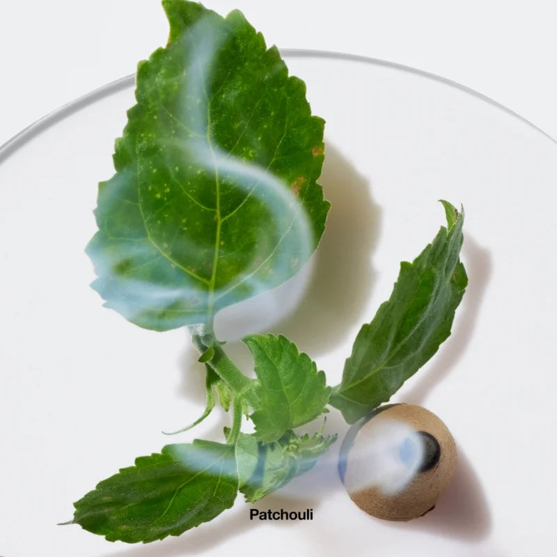 Aromatics Elixir Eau De Parfum 25 ML_CLI6436_Clinique-3