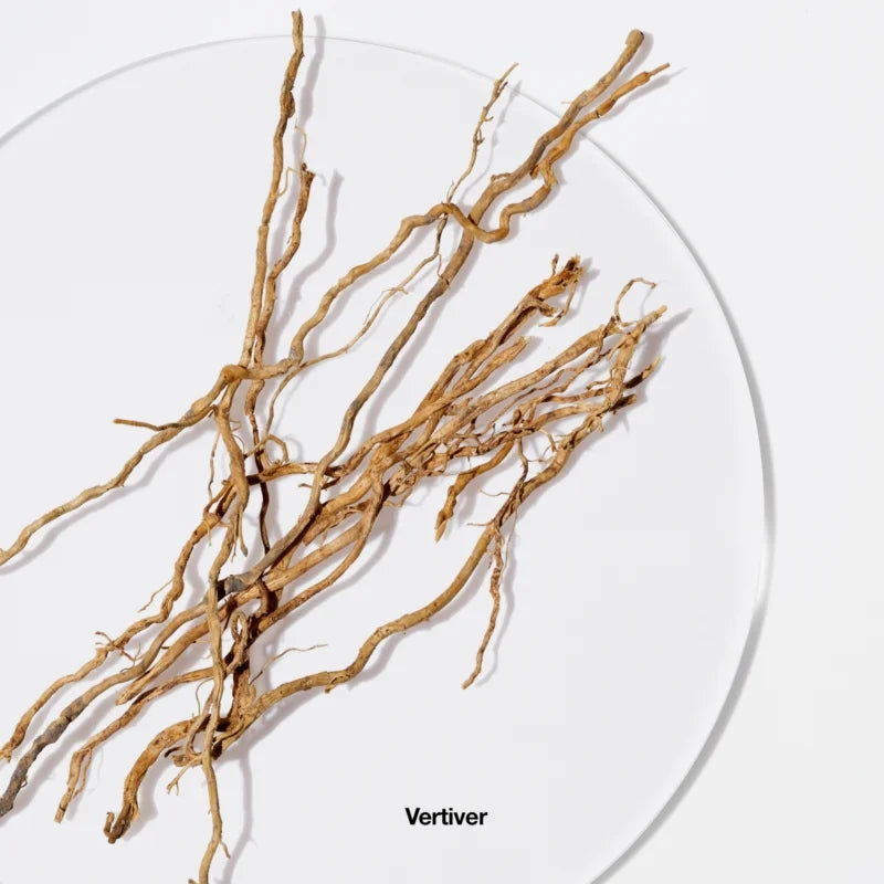 Aromatics Elixir Eau De Parfum 45 ML_CLI6612_Clinique-4