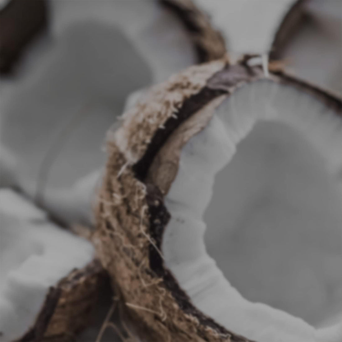 Bagno Doccia Cocco Delicato 250 ML_AQU9959750219_Aquolina-3