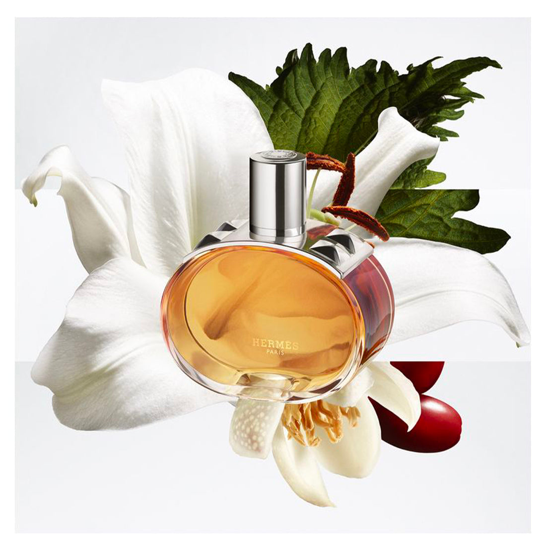 Barenia Pleine Fleur Eau De Parfum_HER65249969_Hermes-3