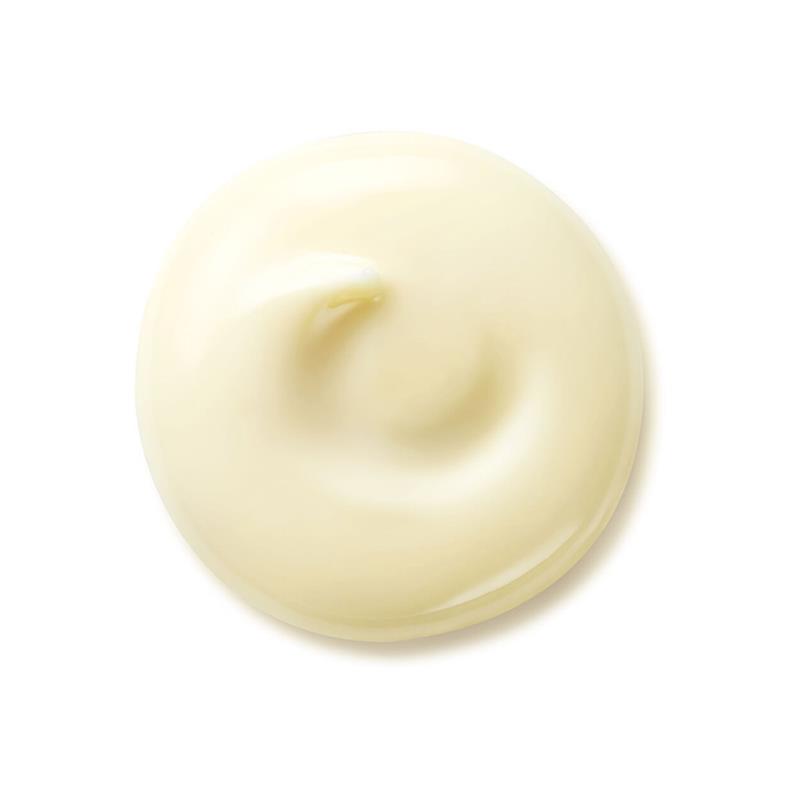 Benefiance Wrinkle Smoothing Day Cream SPF 25 Crema Viso Giorno 50 ml_SHI14951_Shiseido-2