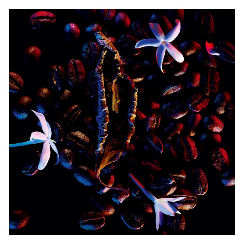 Black Opium Eau De Parfum 30 ml_YSL5597600_YSL-4