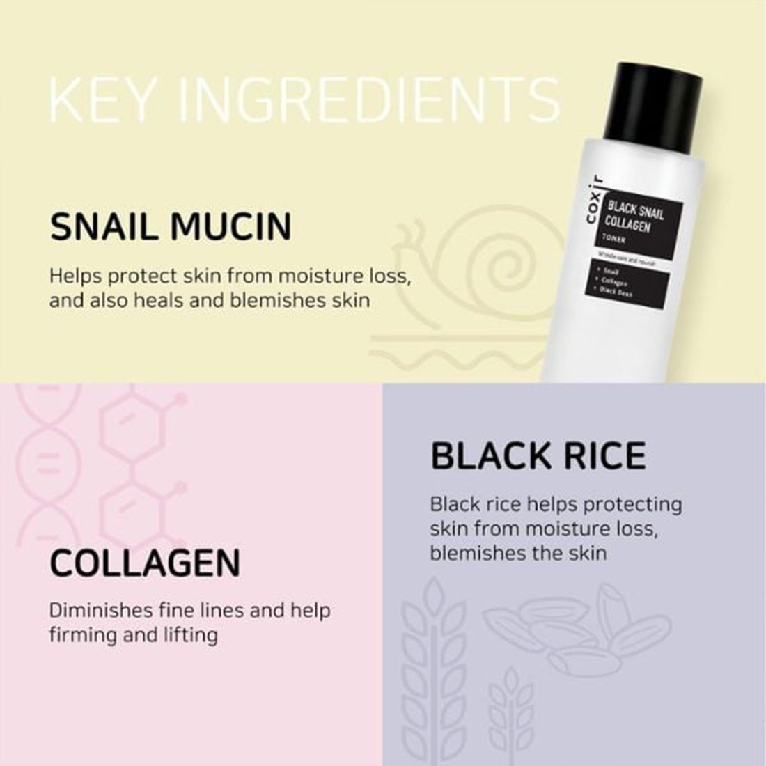 Black Snail Collagen Toner Tonico Viso 150 ml_COX082617_COXIR-5