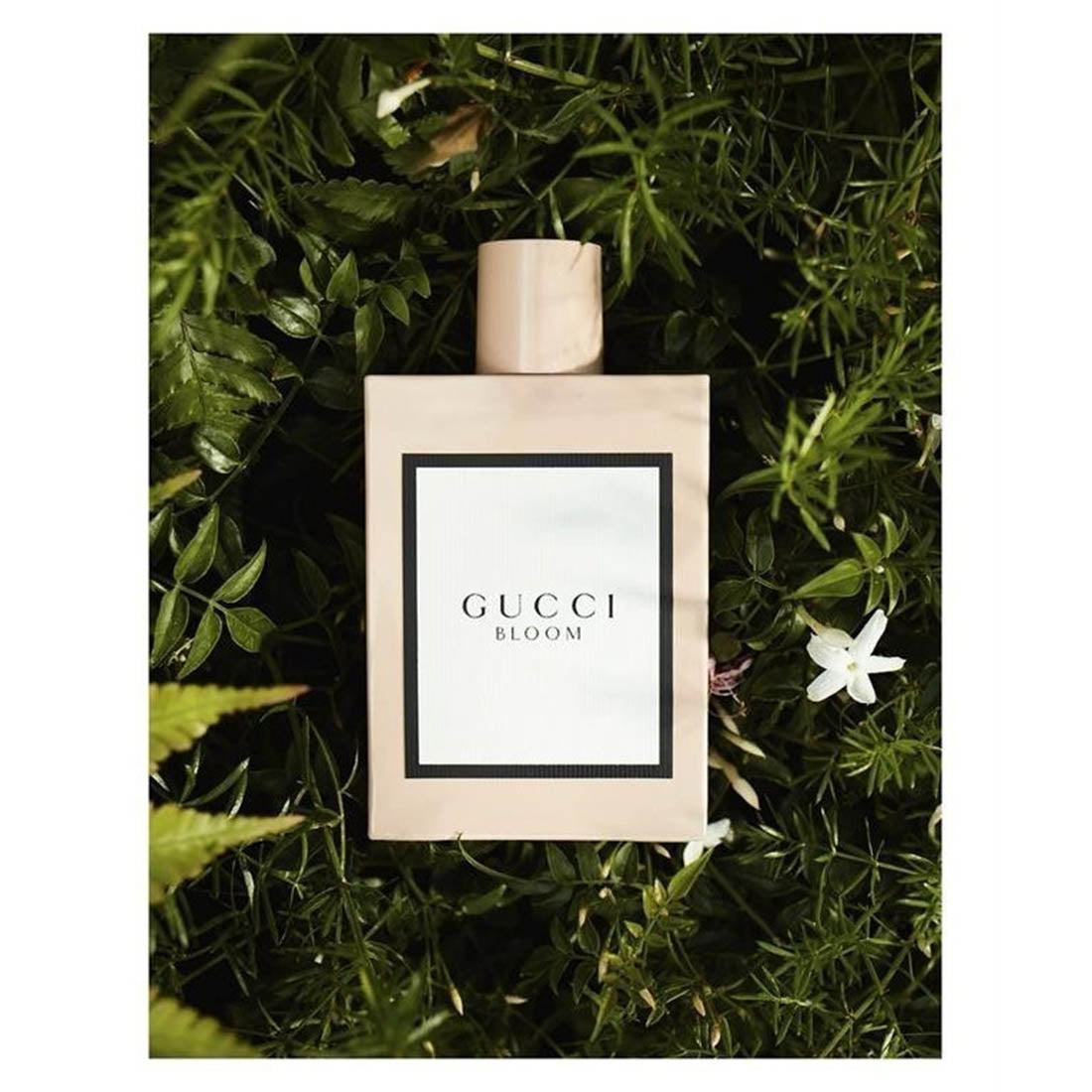 Bloom Eau De Parfum 100 ML_GUC82471308_Gucci-3