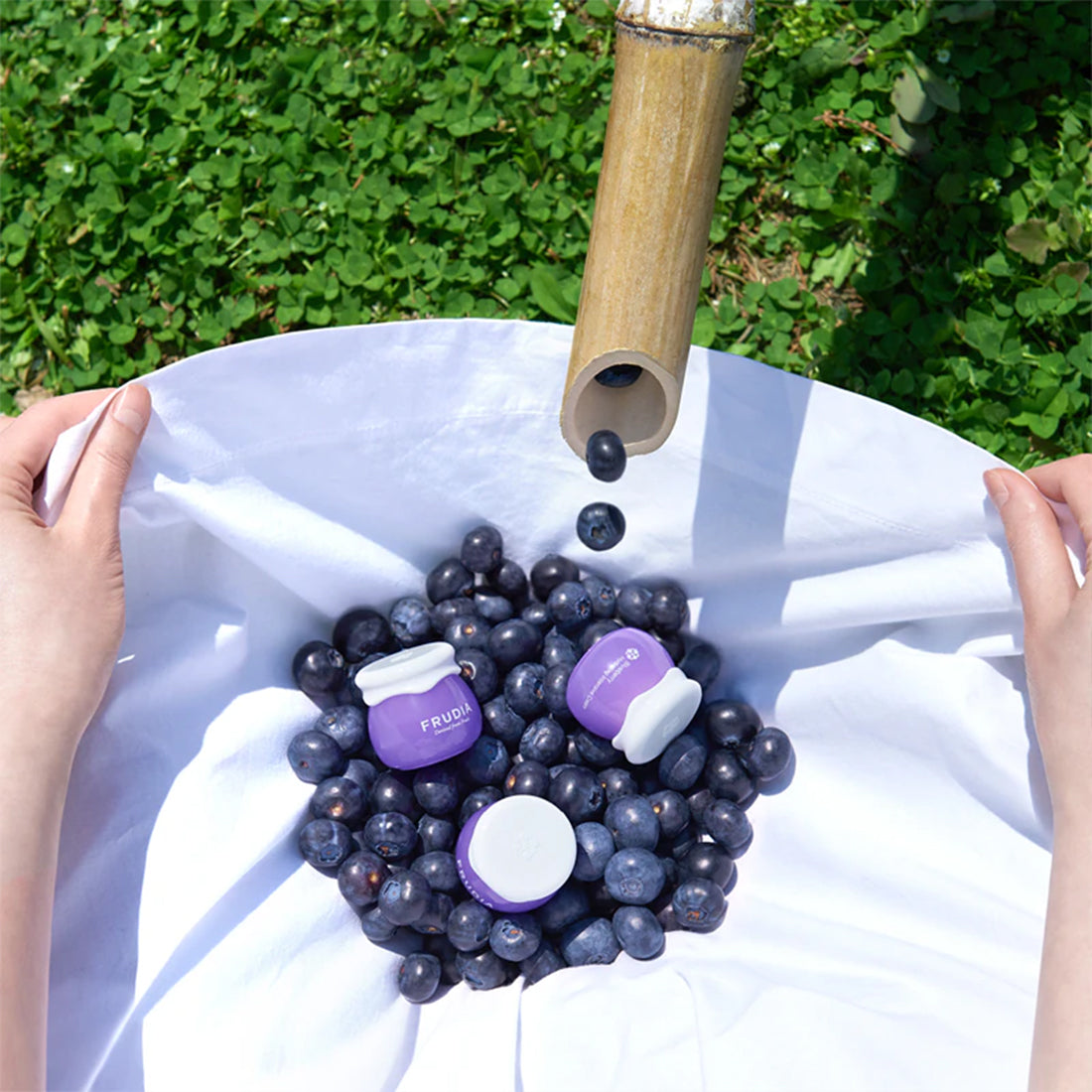 Blueberry Hydrating Intensive Cream Mini_FRUFDACMINR10_FRUDIA-4