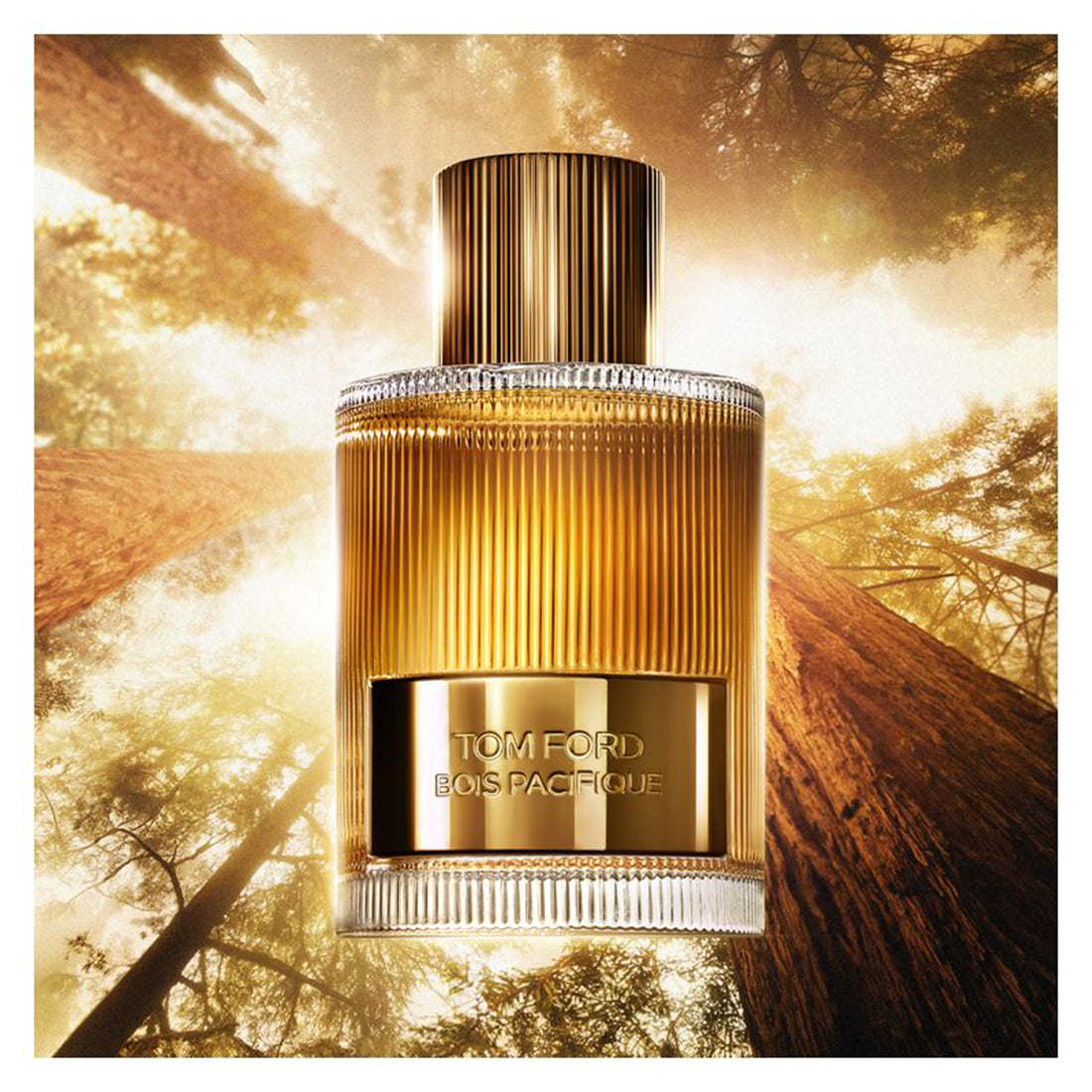 Bois Pacifique Eau De Parfum 100 ML_ESTTEF101_Tom Ford-2