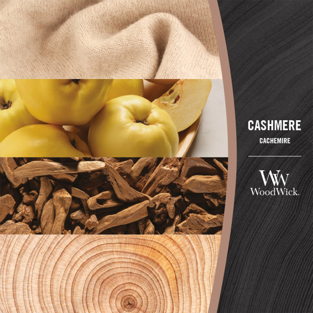Candela Cashmere Ellipse_WW1720918E_WOOD WICK-2