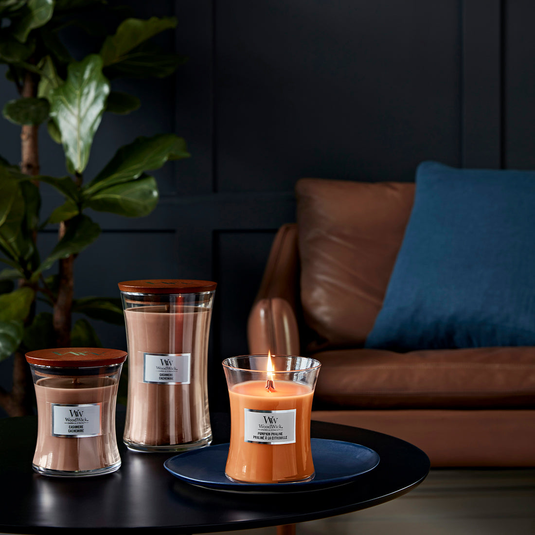 Candela Cashmere Media_WW1720908E_WOOD WICK-3