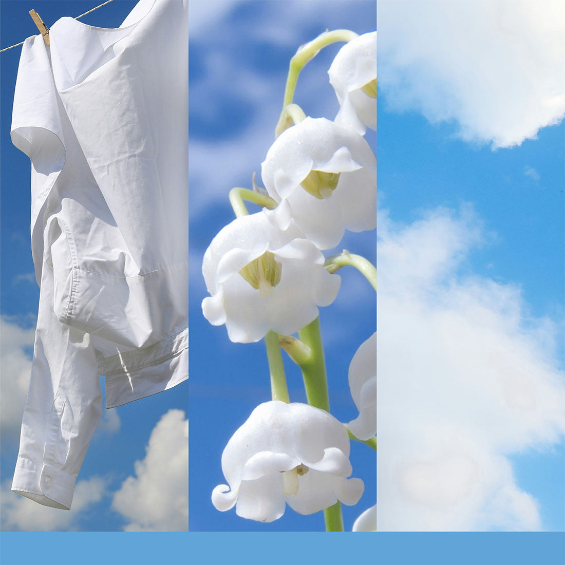 Candela Clean Cotton Media Signature 368 gr
_YAN1630645E_YANKEE CANDLE-2