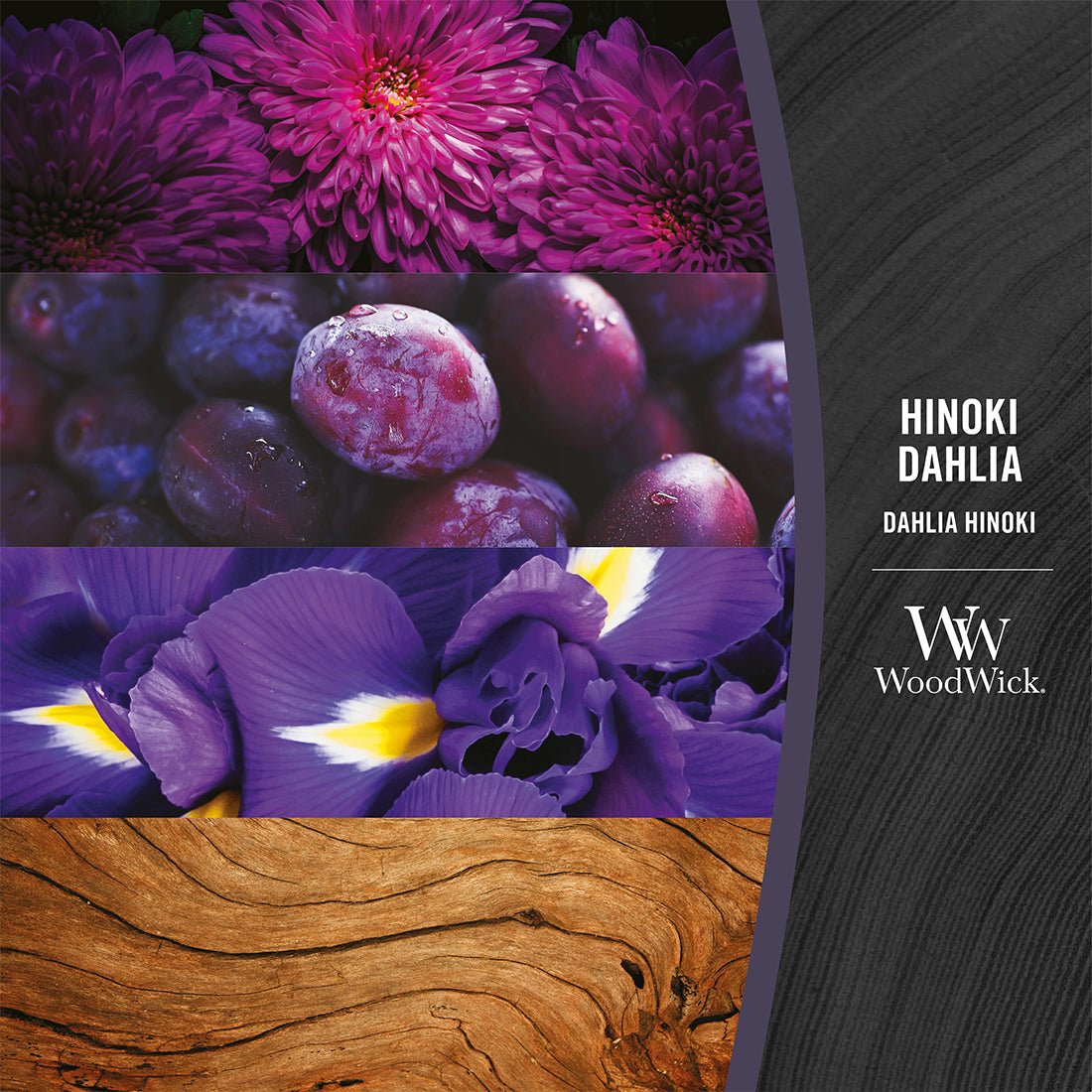 Candela Hinoki Dahlia Ellipse_WW1743608E_WOOD WICK-2