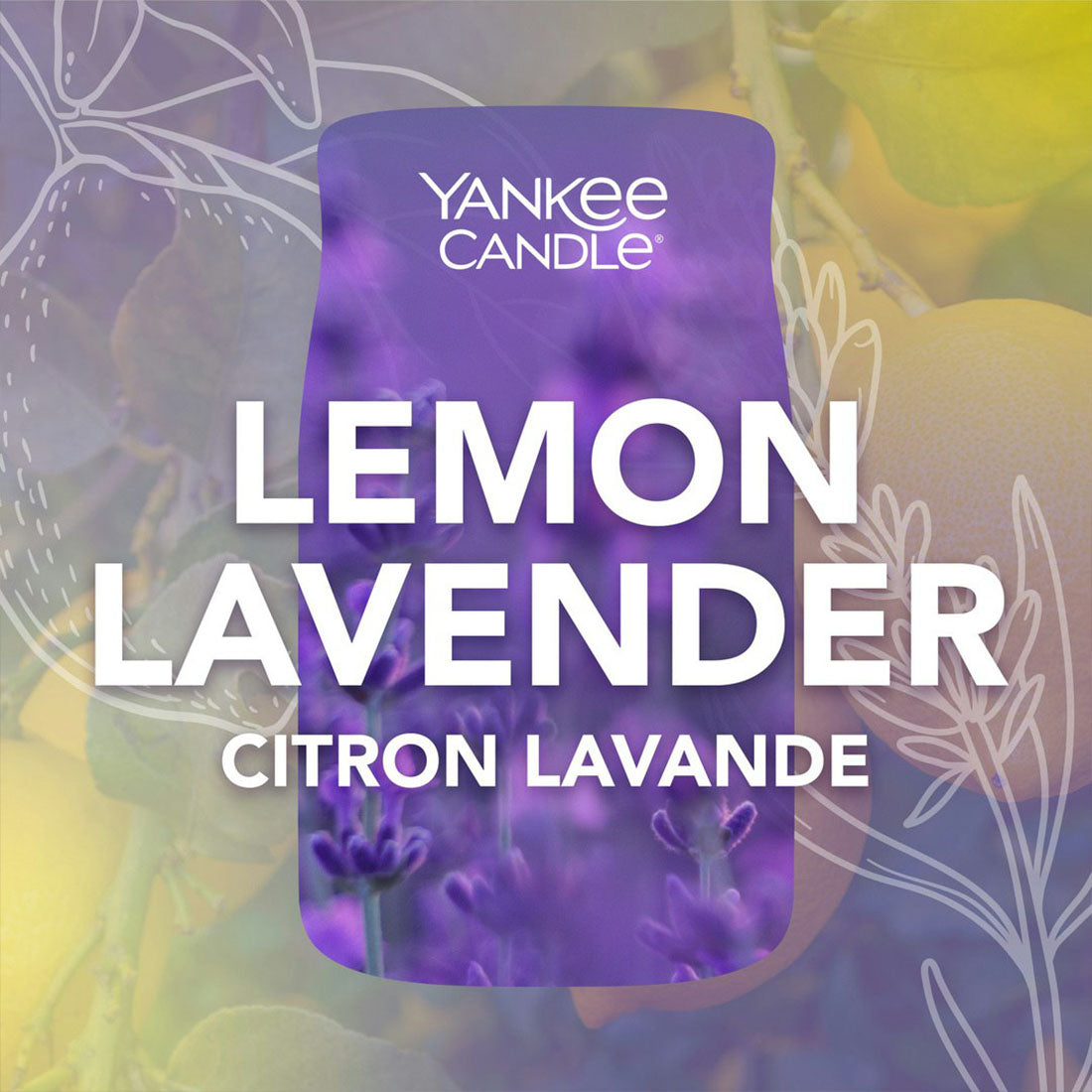 Candela Lemon Lavender Grande Signature 567 gr_YAN1629970E_YANKEE CANDLE-7