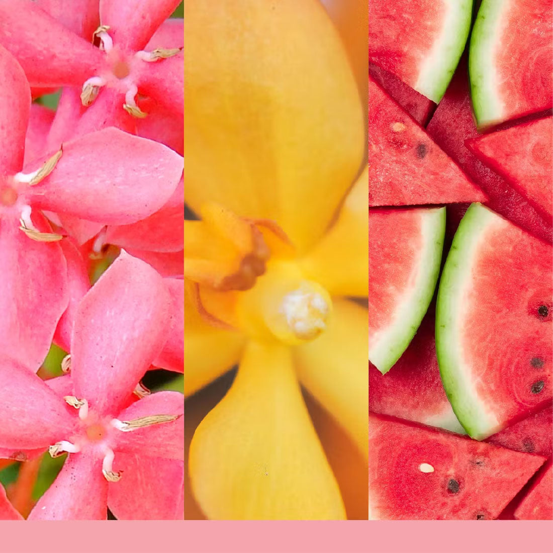 Candela Pink Sands Tumbler Piccolo Signature 122 gr_YAN1744736E_YANKEE CANDLE-2