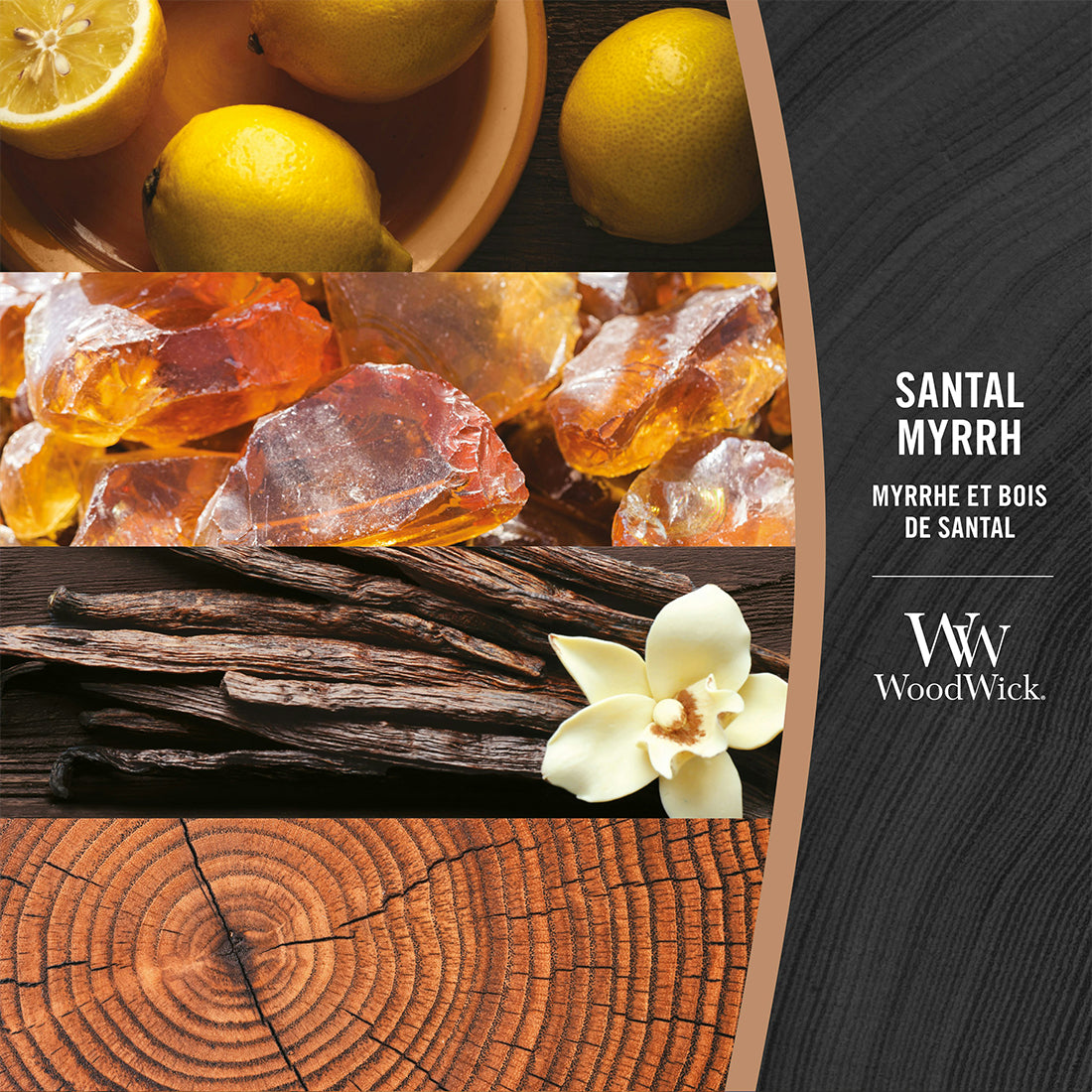 Candela Santal Myrrh_WW1743603E_WOOD WICK-2