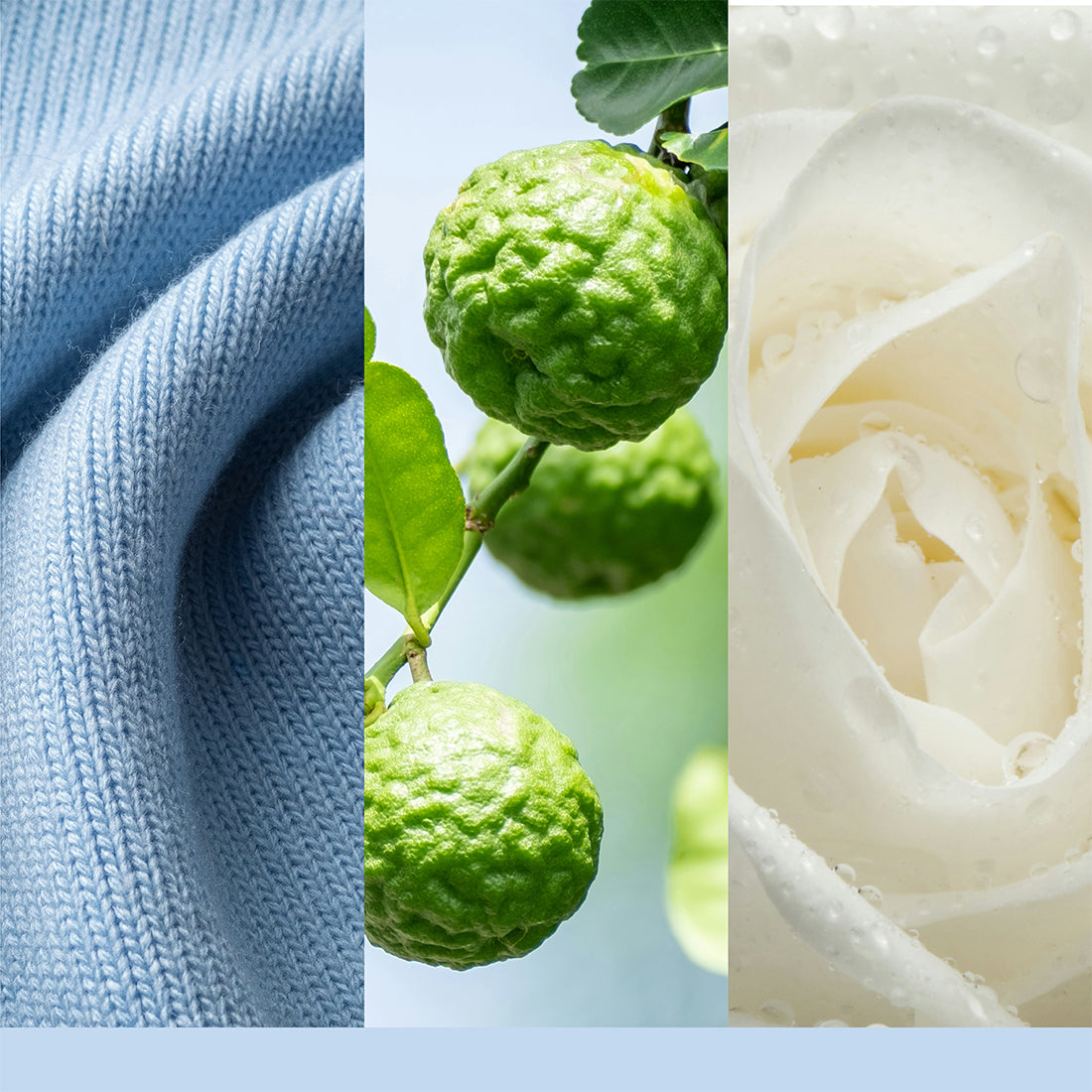 Candela Soft Blanket Trumbler Piccolo 122 gr
_YAN2654103E_YANKEE CANDLE-2