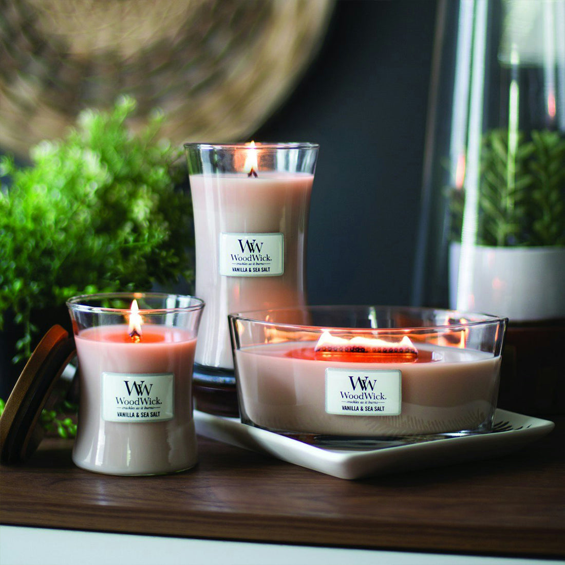 Candela Vanilla & Sea Salt_WW76191E_WOOD WICK-3