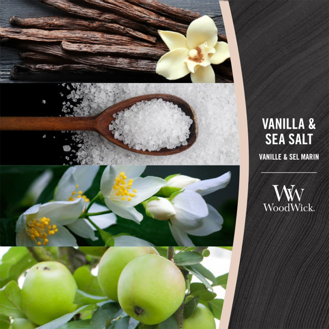Candela Vanilla & Sea Salt_WW93191E_WOOD WICK-2