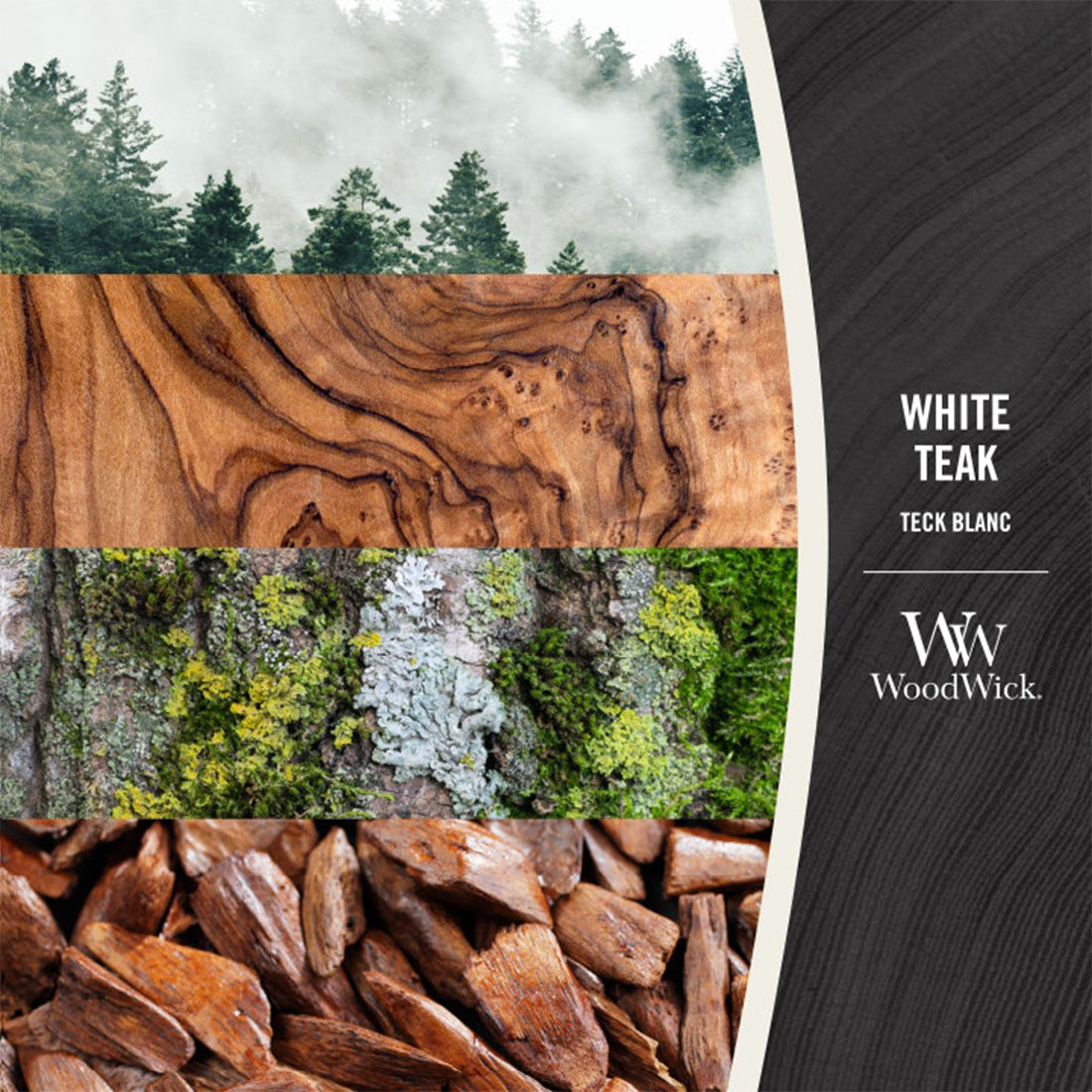 Candela White Teak_WW93039E_WOOD WICK-2