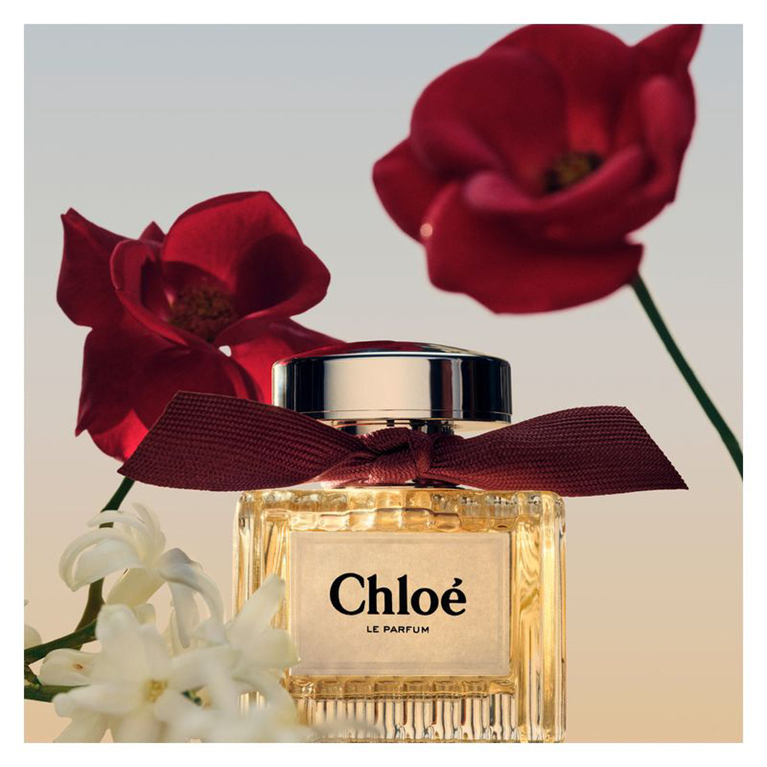 Chloè Le Parfum 100 ml_CHL99350219492_Chloe'-3