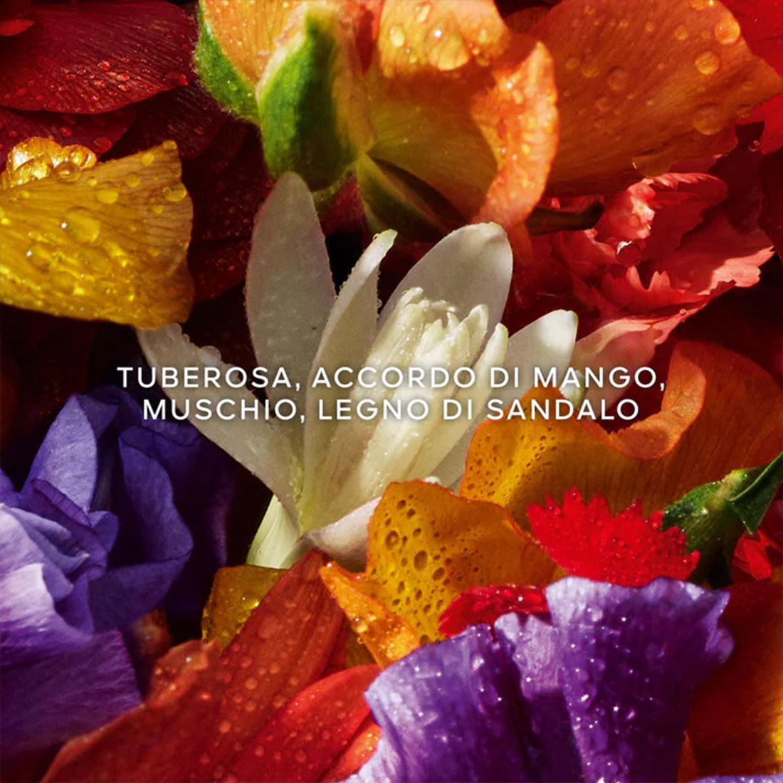 Cofanetto Aqua Allegoria Forte Flora Bloom  Eau De Parfum 75 ml_GUE100026_Guerlain-5