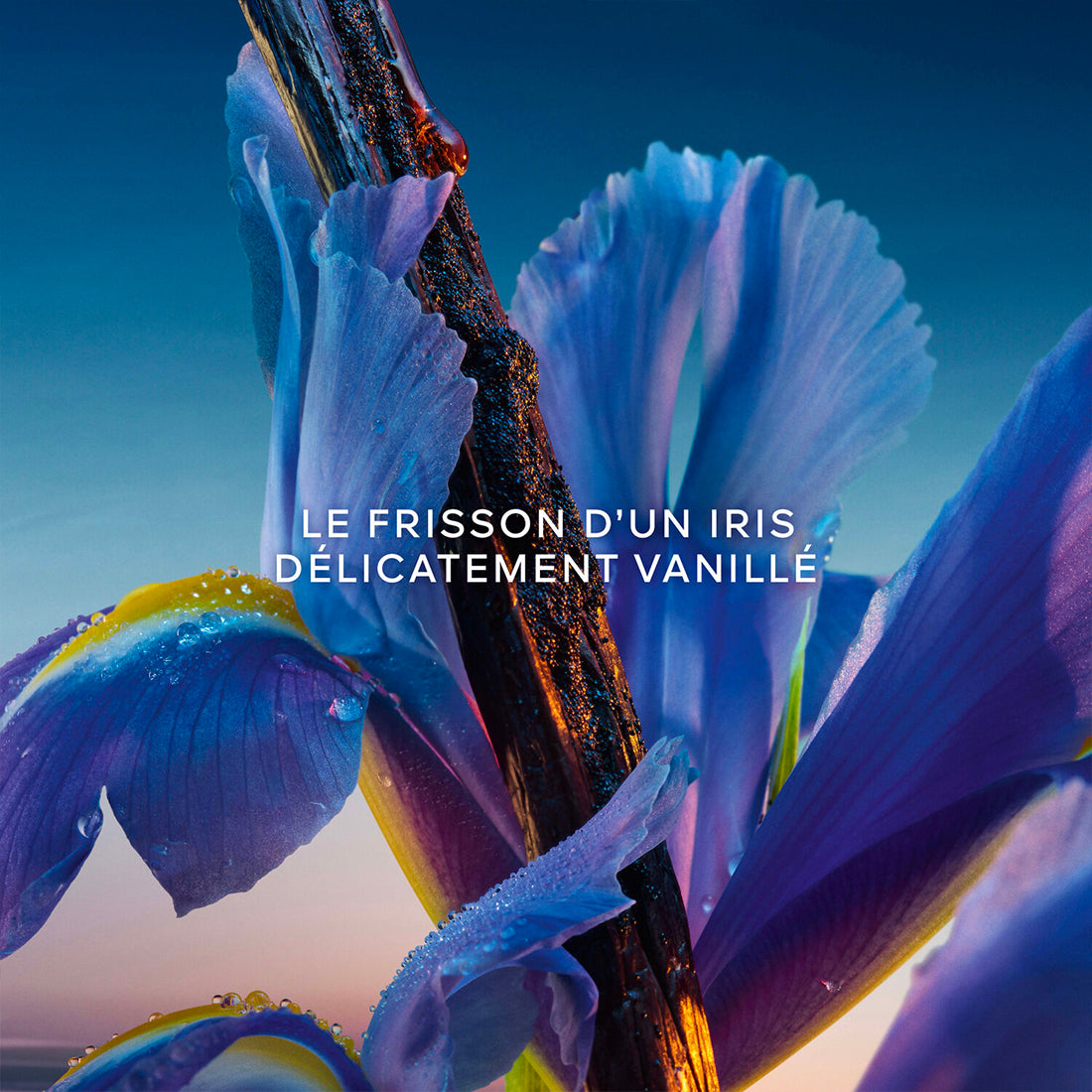 Cofanetto L'heure Bleue Eau De Parfum_GUE100112_Guerlain-4