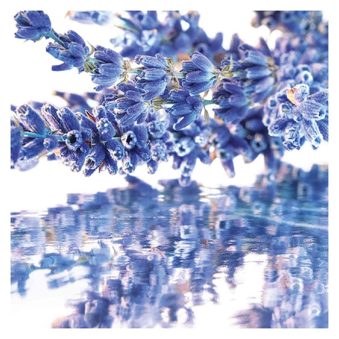 Cofanetto Mon Guerlain Eau De Parfum 50 ml_GUE100033_Guerlain-4