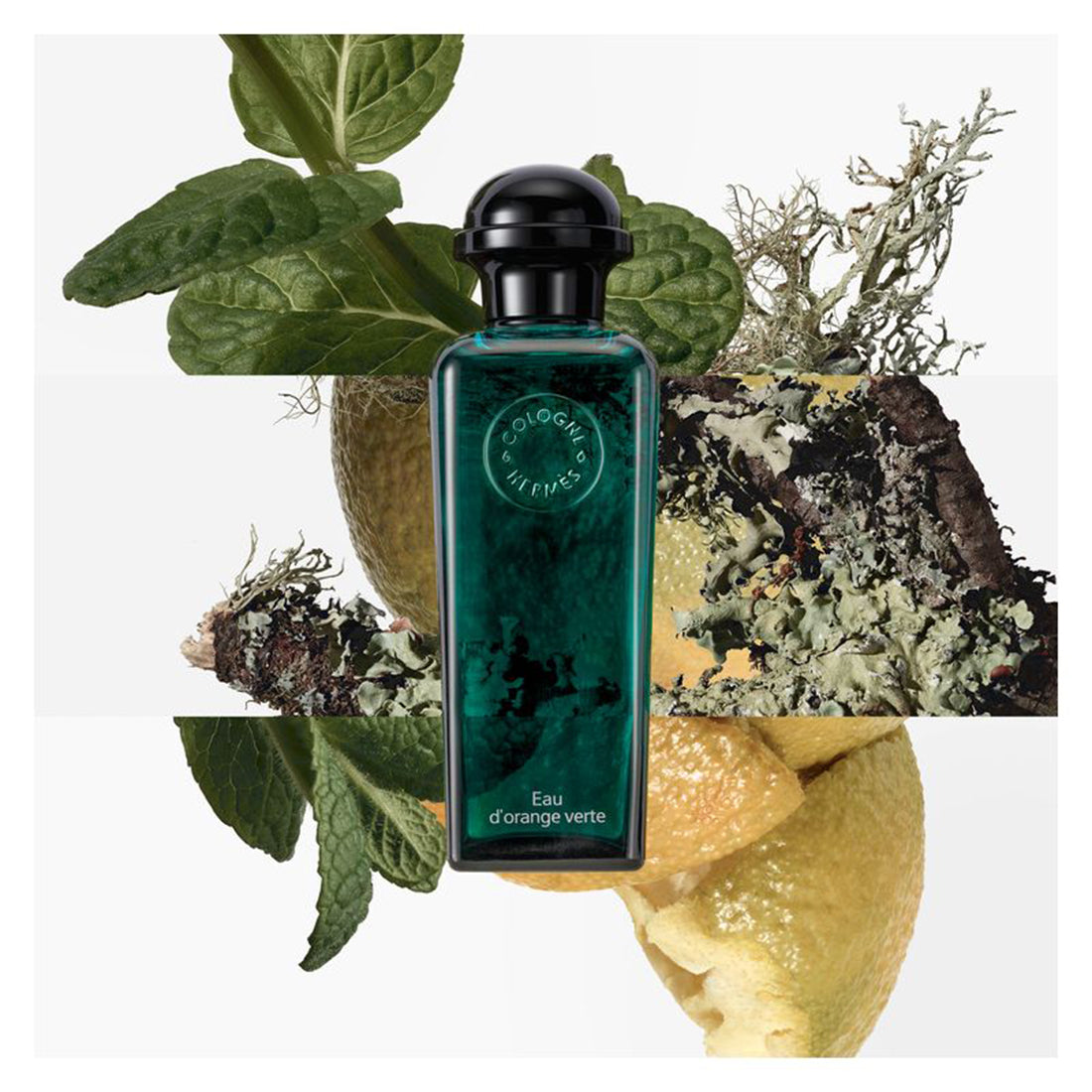 Concentrè D'orange Verte Eau De Toilette 100 ML_HER65174517_Hermes-2